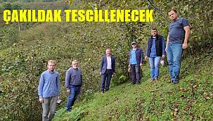 "Gürgentepe Çakıldak" tescillenecek