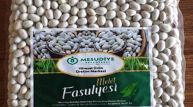 Mesudiye fasulyesi piyasada