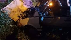 Trafik kazasında sürücü hayatını kaybetti