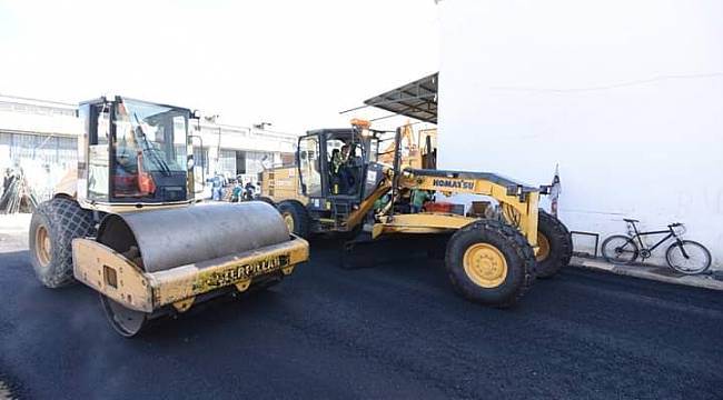 Altınordu her yerde