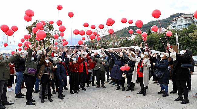 Balonlar Havaya, Demir Ali Amerika'ya