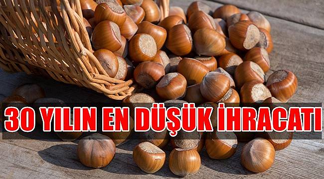 Fındık ihracatındaki düşüş endişe veriyor!