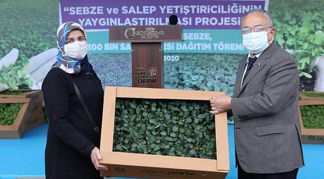 Ordu kendi kendine yetecek