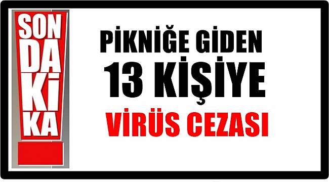 Ailecek pikniğe gidenlere Corona cezası!