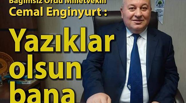 Enginyurt: Yazıklar olsun bana