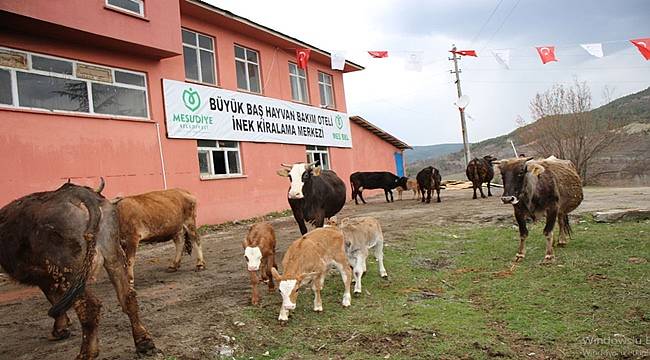 Hayvan Oteli tam kapasite çalışıyor
