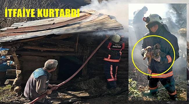 İtfaiye ekipleri yangında 4 canı kurtardı