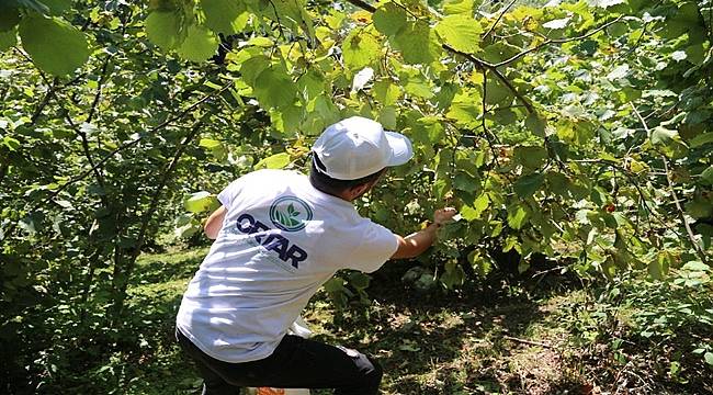 Bahçeler 4 mevsim Büyükşehir'e emanet