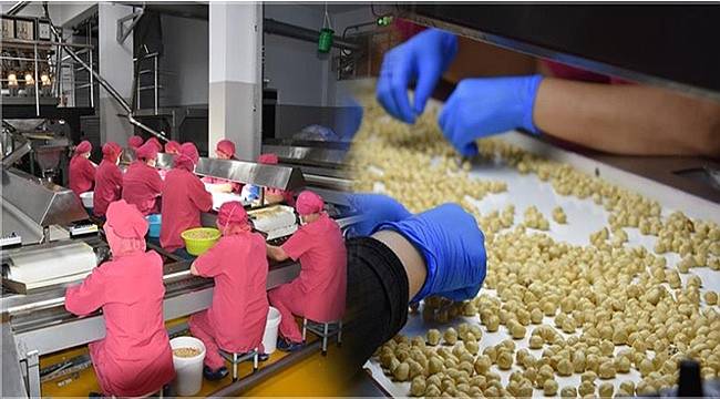 Kırsal Kalkınma Yatırımları  için hibe başvuruları devam ediyor