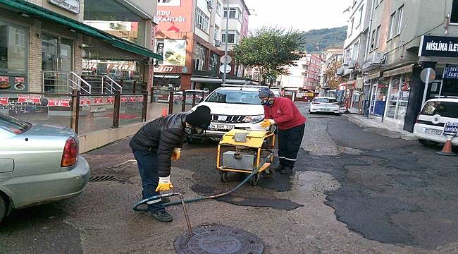 Ordu&#039;da haşerelere geçit yok