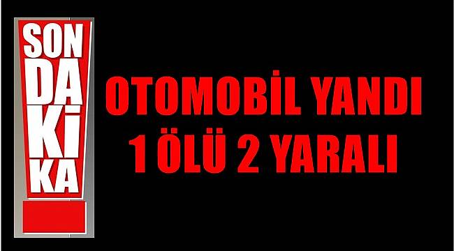 Otomobil yandı 1 kişi öldü 2 kişi yaralandı