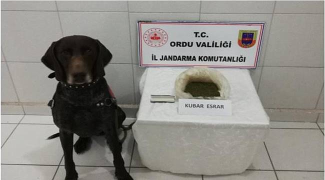 Uyuşturucu operasyonunda 2 kişi yakalandı