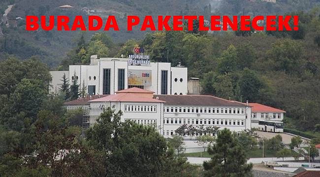 BALMER'de çarklar dönecek