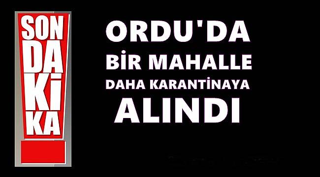 Ordu'da bir mahalle daha karantinaya alındı