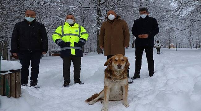 Ordu'da ekipler 234 hasta ve 81 cenazeye müdahale etti