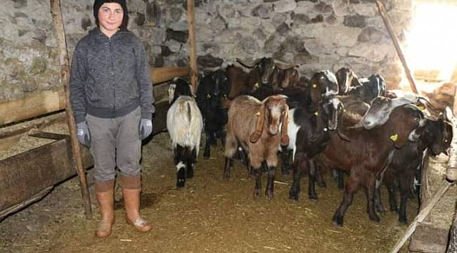 Ordu'ya uyum sağladı