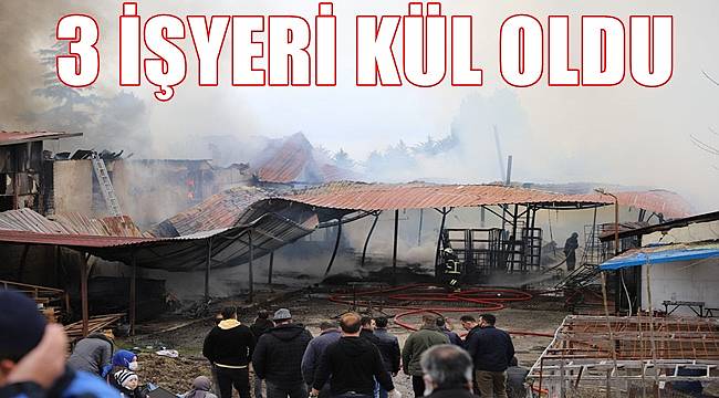 Yangında 3 işletme kül oldu