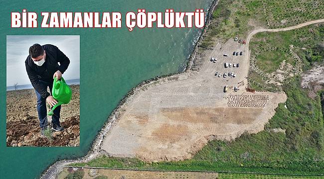 Çöplük lavanta bahçesi oluyor