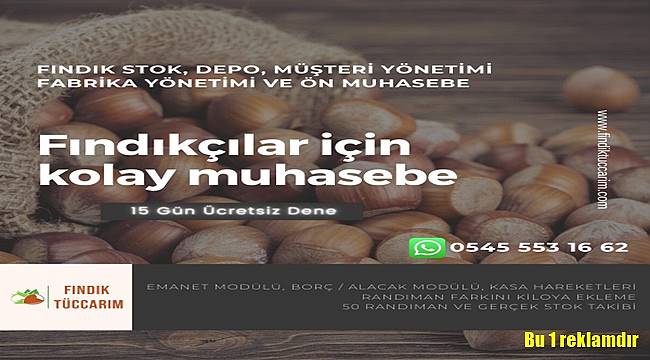 Fındık tüccarları için kolay muhasebe