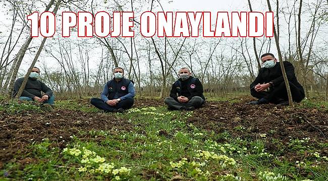 Ordu&#039;da tarıma doping