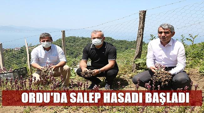 Başkan Güler'in projeleri meyvelerini vermeye başladı