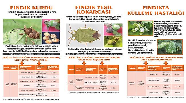 Fındık Zararlılarıyla Mücadelede Yeni Seferberlik