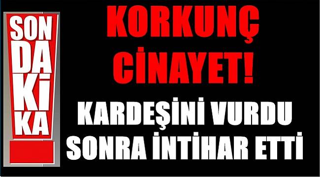 Kardeşini vurdu aynı tabancayla intihar etti