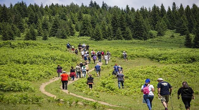 Ordu Yaylaları Ziyaretçilerini Bekliyor