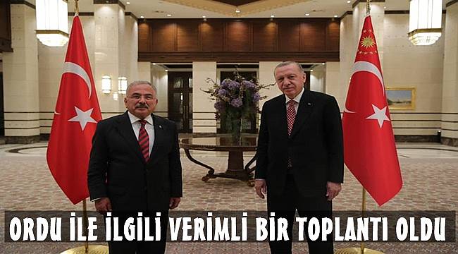 Başkan Güler, Cumhurbaşkanı Erdoğan ile görüştü