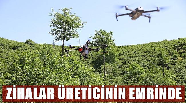 Fındık Bahçeleri Ziha İle İlaçlanıyor