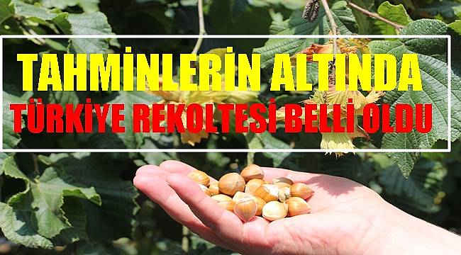 2021 yılı Türkiye fındık rekoltesi belli oldu