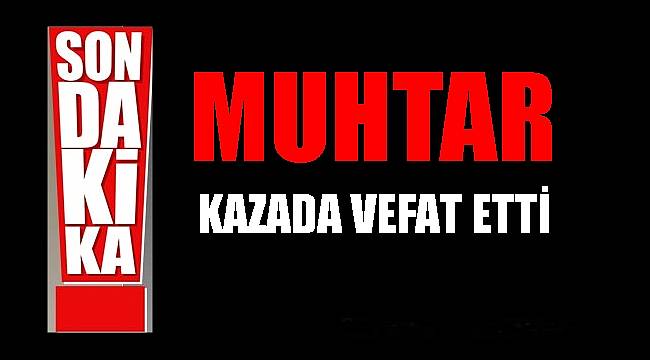 25 gün önce kura ile muhtar olmuştu kazada öldü