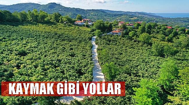 Altınordu'da her noktaya hizmet