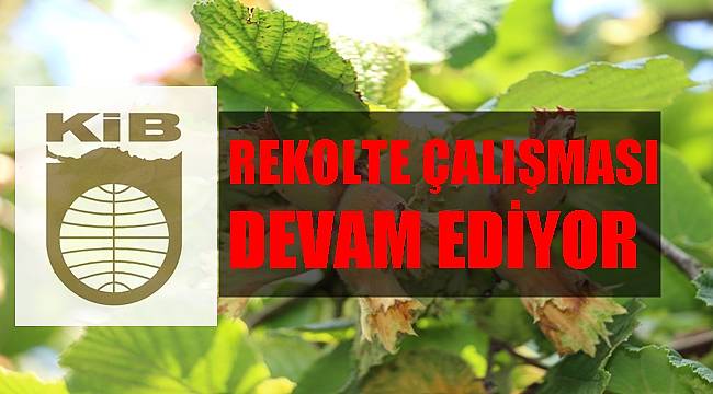 İhracatçılar da fındık rekoltesi açıklayacak