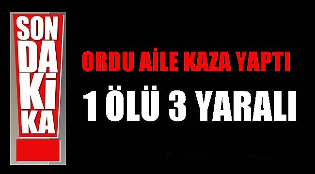 Kazada 19 yaşındaki  Hatice Kestane Hayatını Kaybetti