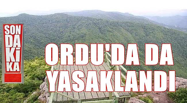 Ordu Valiliği yasağın detaylarını duyurdu