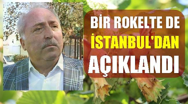 Rekolte bilmecesi; Türkiye'nin fındık rekoltesi ne kadar?