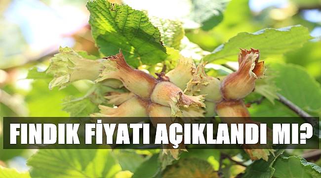 Fındık fiyatı açıklandı mı?