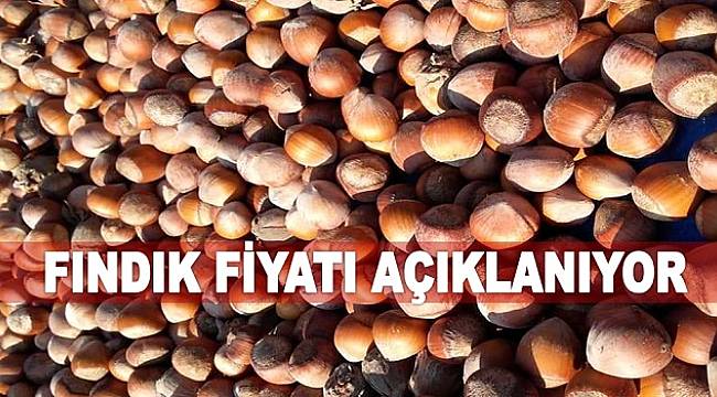Fındık fiyatı açıklanıyor