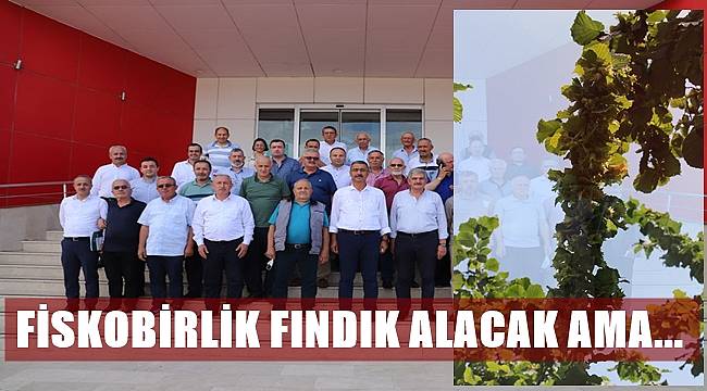 Fiskobirlik fındık alımına başlıyor