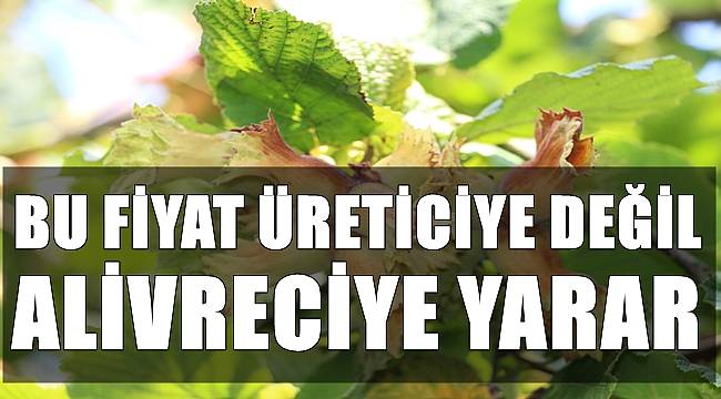 İtalya'da üretim çok az Türkiye fırsatı kaçırdı