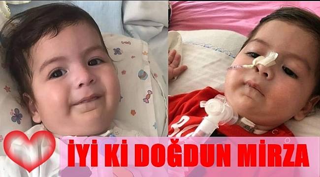 Mirza Bebek 1 yaşında