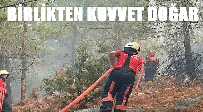 Ordu İtfaiyesi var gücüyle çalışıyor