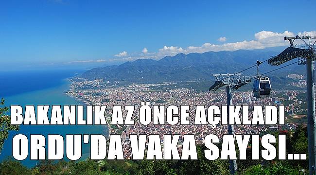 Sağlık Bakanlığı Ordu'daki vaka sayısını açıkladı