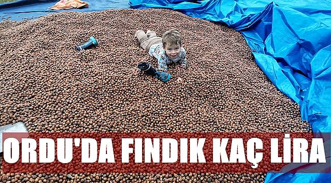Bugün fındık kaç lira oldu