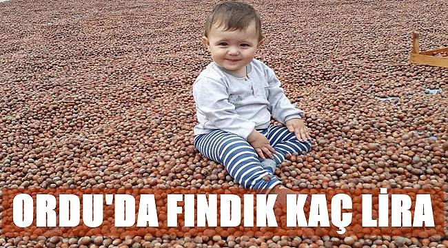 Bugün fındık kaç lira