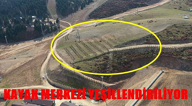 Çambaşı Kayak Merkezi Yeşillendiriliyor