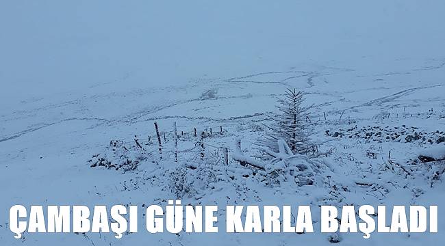 Çambaşı&#039;na mevsimin ilk karı yağdı