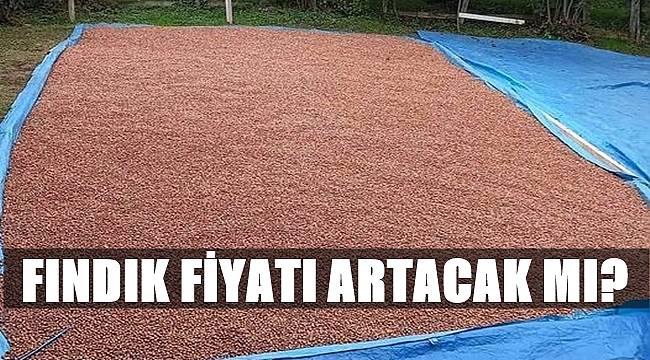 Fındık kaç lira?