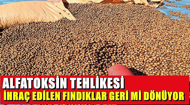 İhraç edilen fındıklar geri mi dönüyor?